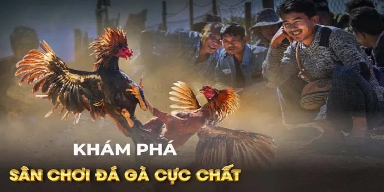 Làm Chủ Sàn Đấu Đá Gà GA28 789Bet Biến Kỹ Năng Thành Lợi Nhuận